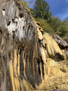 KAC Egg Grossdorf Abendwanderung 2019  2481